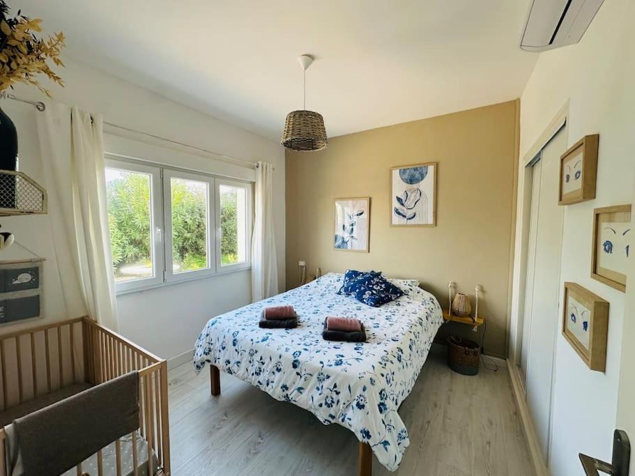 Apartment Les Pieds Dans Le Sable *